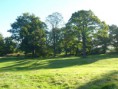 /album/my-local-birding-gallery/thornhill-rectory-park-the-setting-for-our-latest-nest-box-project-jpg/